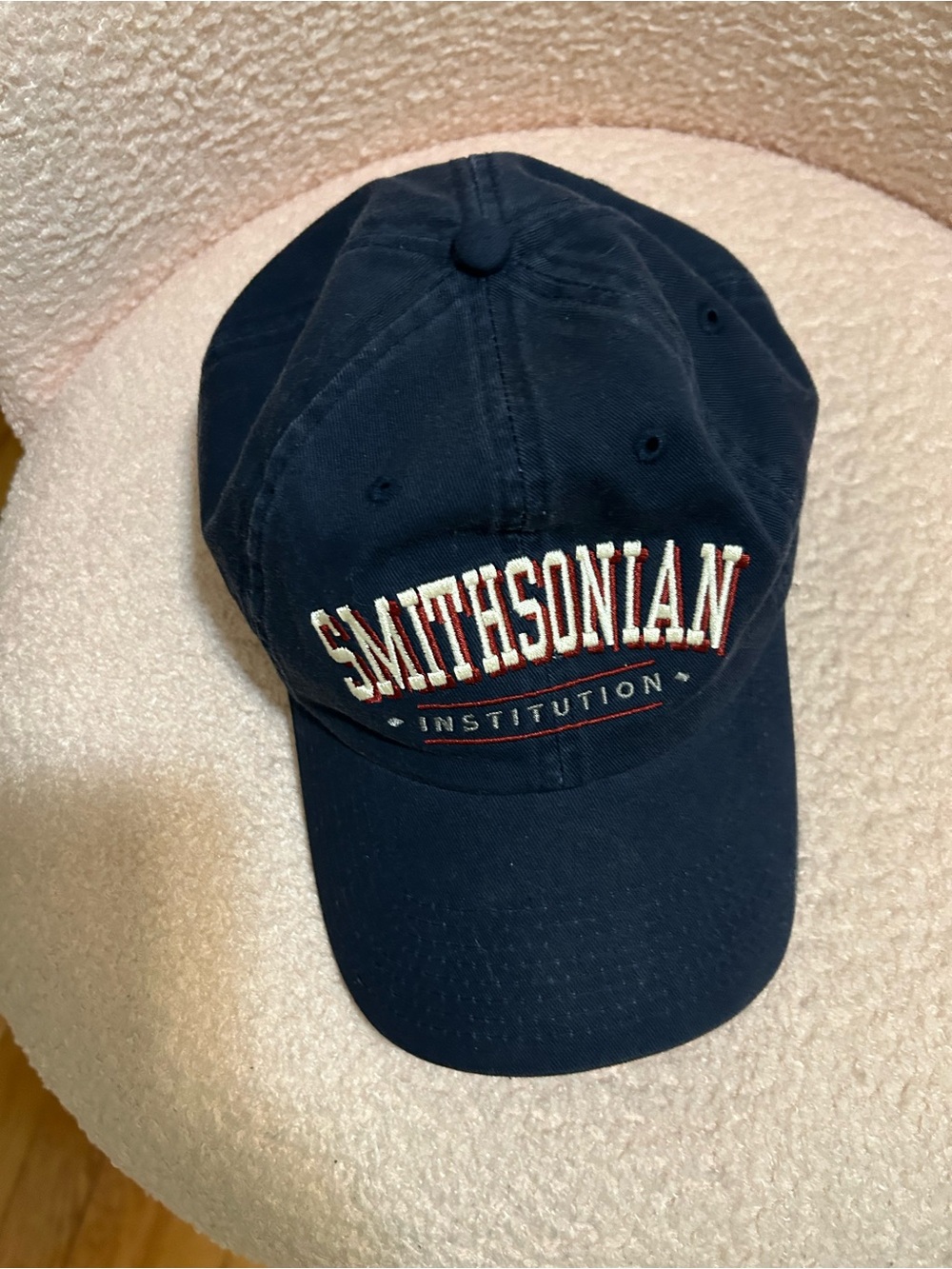 Navy Smithsonian Embroidered Baseball Cap for Men